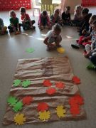 większy obrazek nr 16