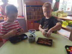 większy obrazek nr 10