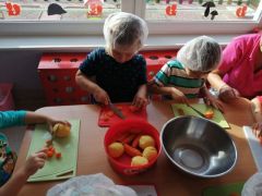 większy obrazek nr 5