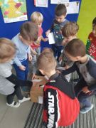 większy obrazek nr 13