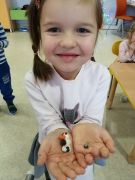 większy obrazek nr 13