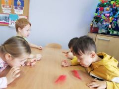 większy obrazek nr 2