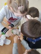 większy obrazek nr 15