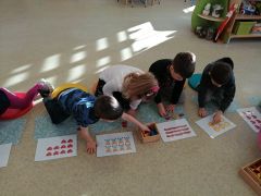 większy obrazek nr 8