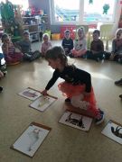 większy obrazek nr 19