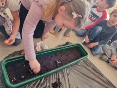 większy obrazek nr 5