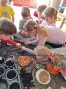 większy obrazek nr 9