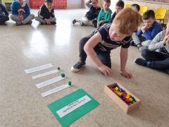 większy obrazek nr 1