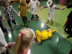 większy obrazek nr 36