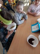 większy obrazek nr 2