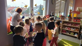 większy obrazek nr 14