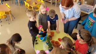 większy obrazek nr 2