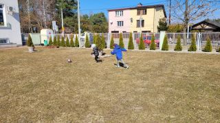 większy obrazek nr 43