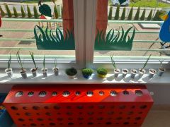 większy obrazek nr 1