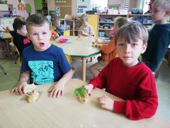 większy obrazek nr 1