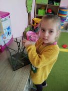 większy obrazek nr 2