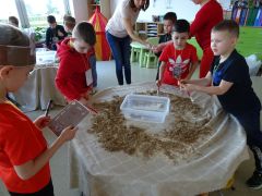 większy obrazek nr 4