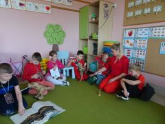 większy obrazek nr 8