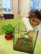 większy obrazek nr 1