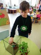 większy obrazek nr 2