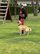 większy obrazek nr 5