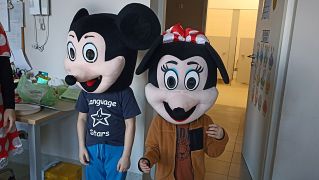 większy obrazek nr 5