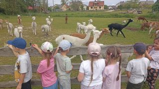 większy obrazek nr 1