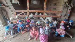 większy obrazek nr 3