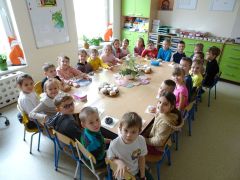 większy obrazek nr 9