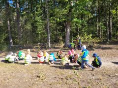 większy obrazek nr 1