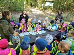 większy obrazek nr 4