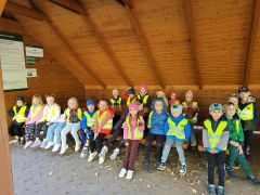 większy obrazek nr 5