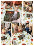 większy obrazek nr 4