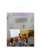 większy obrazek nr 1