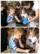 większy obrazek nr 11