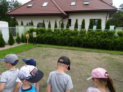 większy obrazek nr 6