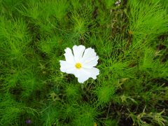 większy obrazek nr 12