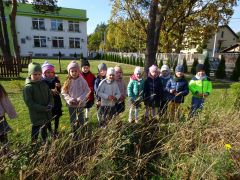 większy obrazek nr 16