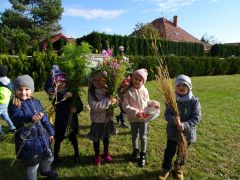 większy obrazek nr 20