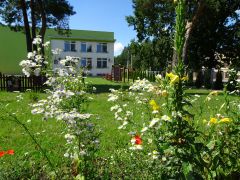 większy obrazek nr 3