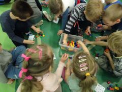 większy obrazek nr 9