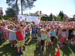 większy obrazek nr 6