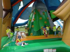 większy obrazek nr 12