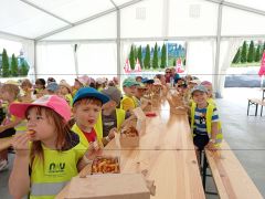 większy obrazek nr 13