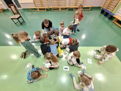 większy obrazek nr 7