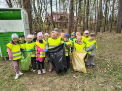 większy obrazek nr 5