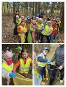 większy obrazek nr 5