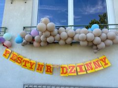 większy obrazek nr 6