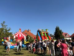 większy obrazek nr 10