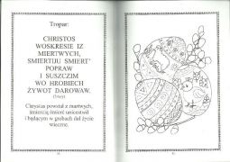 większy obrazek nr 2